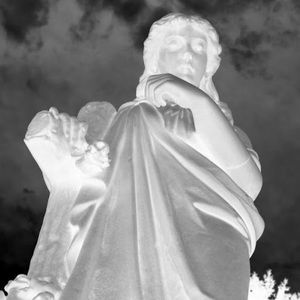 Meet your Posher, Camryn